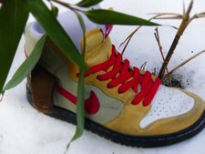 Nike SB Dunk High (Color Skates Kebab & destroy) 37,5 5 sehr gut erhalten