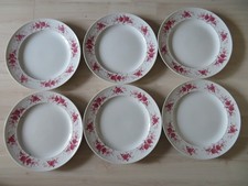 237* Seltmann Weiden Annabell