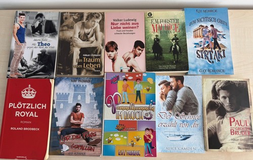 Gay roman bücher maxi pack - 10,