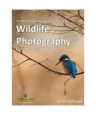 The Ultimate Beginners Guide