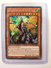 Bewaffneter Drache Donner LV10