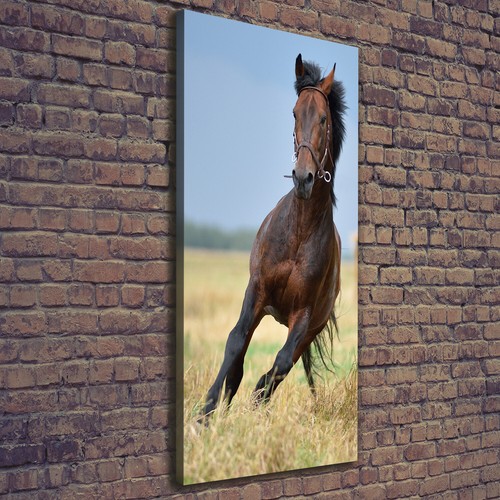 Leinwand bild kunstdruck - leinwand-bild,