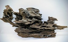 Dragon Wood Aquarium Scaping