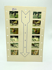 DDR Stereomat Bildkarte / ZOO