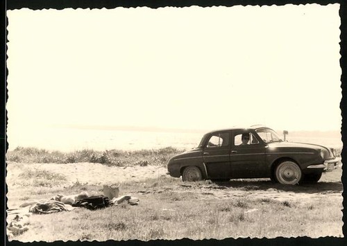 Fotografie auto renault - fotografie,