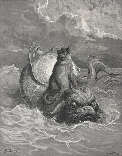 Der affe und - und, delfin