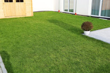 50m2 Premium Rollrasen —