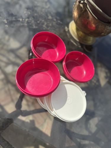 Neu tupperware kleine - neu,