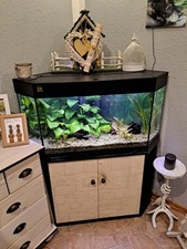 aquarium komplett mit