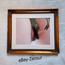 Antiker Stuckrahmen Italien 20. Jh. Foto von Insuh Yoon Glas PPT Erotik 31x37 cm