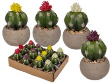 Deko Kaktus im grauen