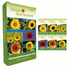 Sonnenblumensamenset 6 Sorten