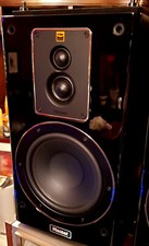 MAGNAT SPK 503 COPPIA 170 WATT