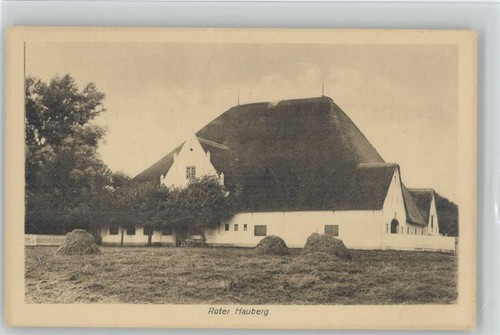 11004414 2250 husum - husum, roter