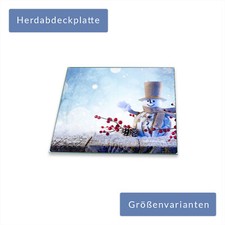 Herdabdeckplatte Abdeckung