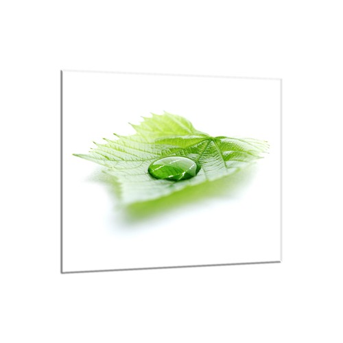 Küchenrückwand glas 65x60 - küchenrückwand,