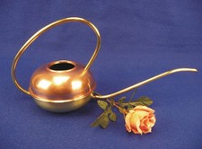 Seltene alte Kupfer Messing Gießkanne Kakteen Orchideen Bonsai Gieß Kanne 1950er