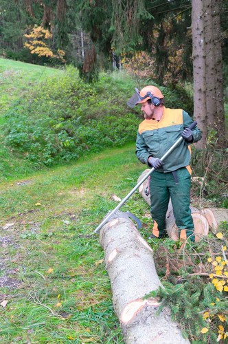 Holzmann wendehaken - holzmann,