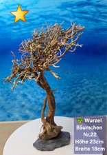 🌳Aquarium Wurzel Bonsai