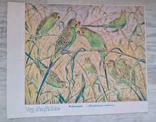 VOSS Margarine Kunstbilder Serie 4 | 13 Stück