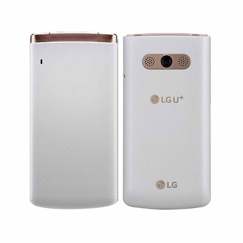 X100 smart folder - lg,