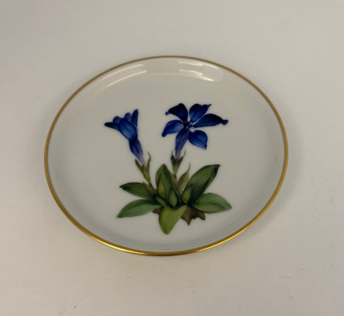Rosenthal handbemaltes - rosenthal,