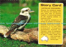 D195072 Australian Kookaburra