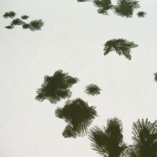 Bundeswehr Camouflage