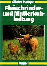 Günter Hampel, Fleisch-Rinder