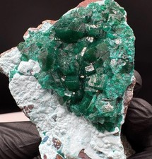 Premium Dioptas 819 Karat! Shattuckit Chrysokoll Edelstein Natur Qualität