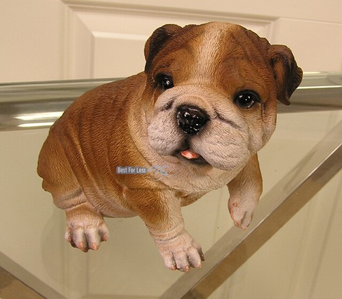 Englische bulldogge figur - englische,