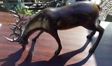 Hirsch Prachtstück - Deko