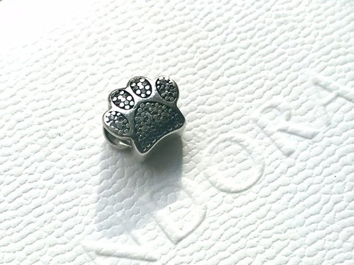 Pandora hund katze pave - hund/katze, paw
