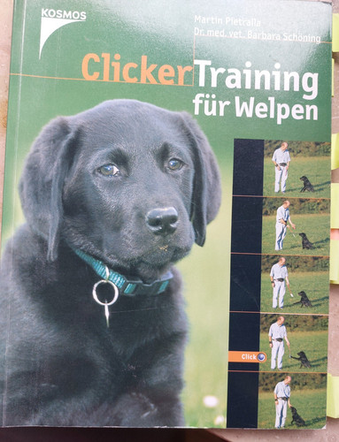 Clickertraining für welpen - clickertraining,