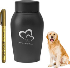 Urne Hund Tierurnen Für Hunde