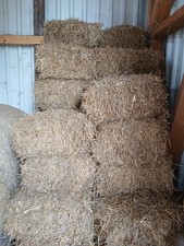 Stroh in kleinen Ballen zu