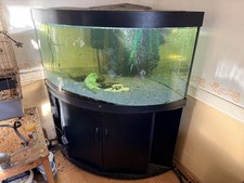 Juwel Aqurium Trigon 350 zu