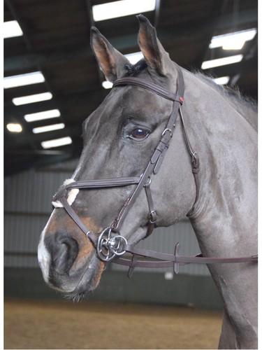 John whitaker ready ride - john,