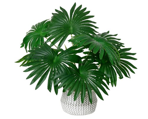 Künstliche palme 50cm topf - 50cm, im