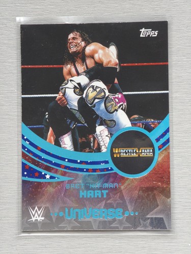 2025 topps wwe universe bret - wwe,
