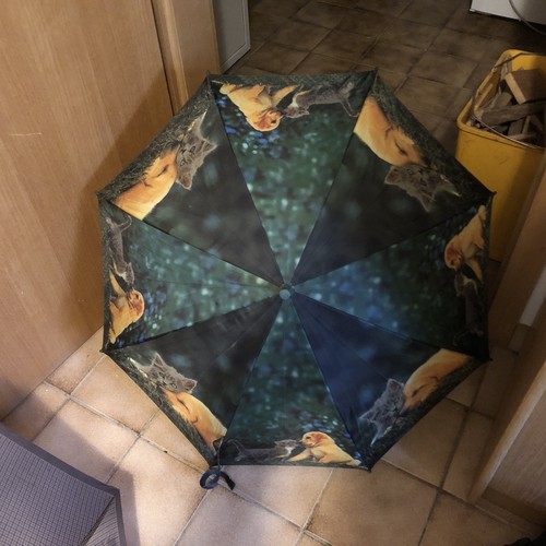Regenschirm katze hund - regenschirm,