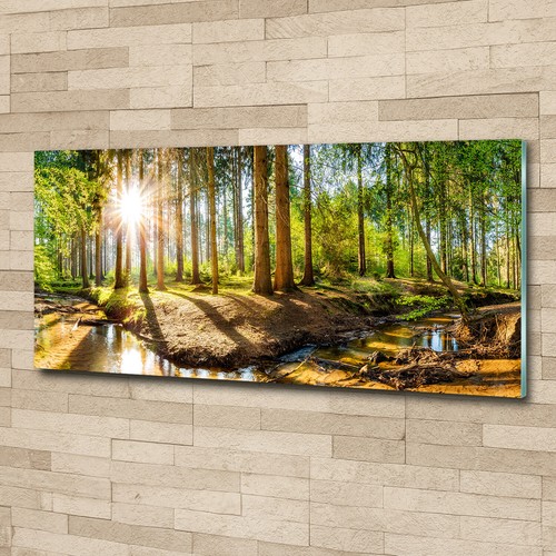 Acrylglas bild wandbilder - acrylglas-bild,