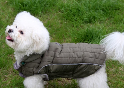 Hundemantel hoodie - ❤️,