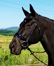 FSS CLASSIC FREEFORM Komfort