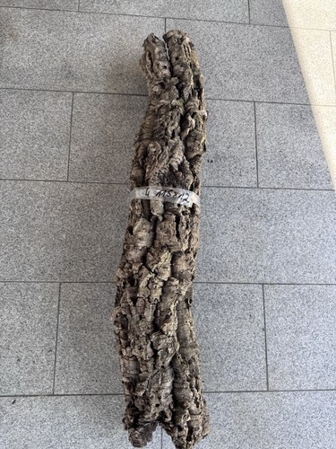 Xxl kork röhre - xxl,