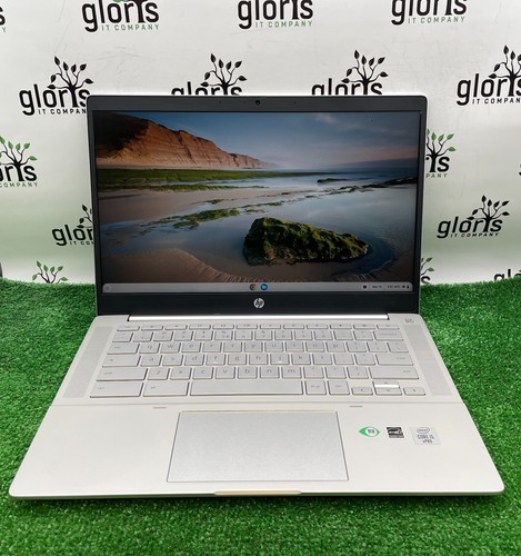 Pro c640 chromebook laptop - hp,