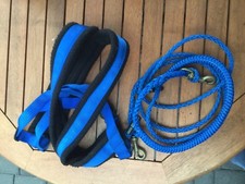 Hunde-Training Geschirr 