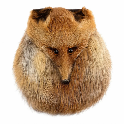 Schottischer fuchsgesicht pelz - fuchsgesicht,