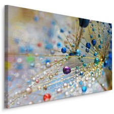 Canvas leinwand bilder - leinwand, xxl