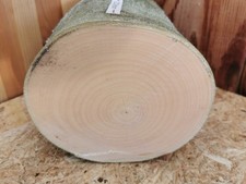 Drechselholz Ahorn Ø 16,5 cm